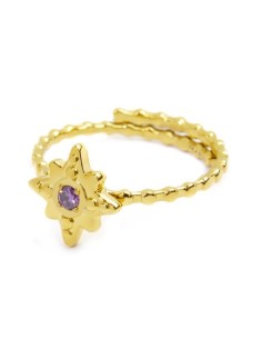 Anello Rosa dei Venti Marlù Oro e Viola – 18AN112G  Acquista Online